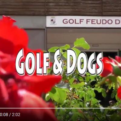 Golf & Dogs